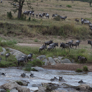 tanzania crossing1 nff 009