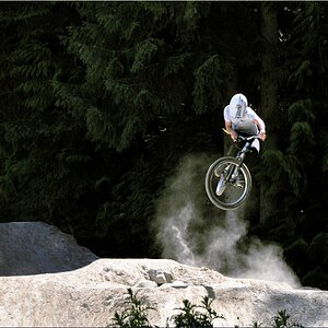 whistler_dirtline