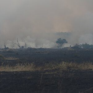 tanzania feuer nff 002