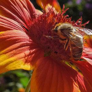 erste Bilder mit der S8200