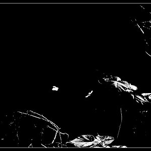 2012 02573