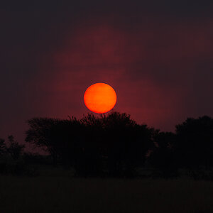 tanzania feuer nff 004