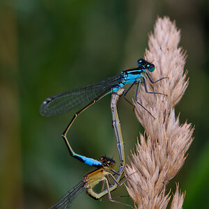 120710 unbenannt 011