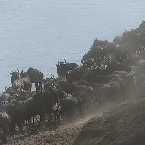 tanzania crossing2 nff 002