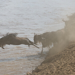 tanzania crossing2 nff 003