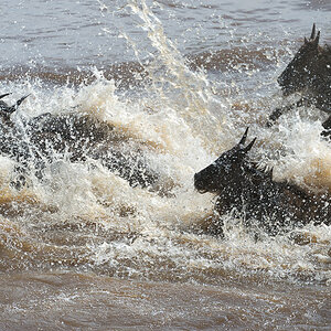 tanzania crossing2 nff 005