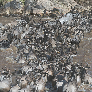 tanzania crossing2 nff 008
