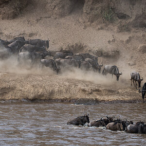 tanzania crossing3 nff 001