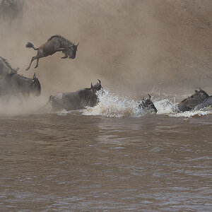 tanzania crossing3 nff 003