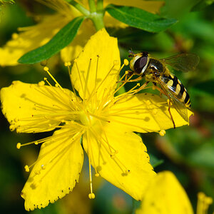 120804 unbenannt 008