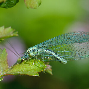120804 unbenannt 050