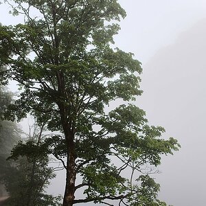 20120706 064530