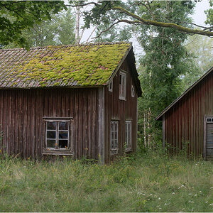 haus im wald10