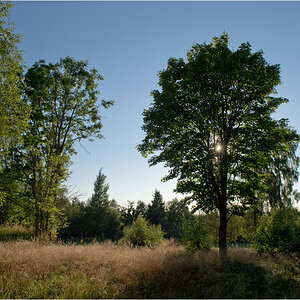 abendsonne2