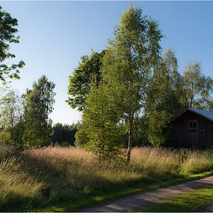 abendsonne3