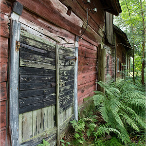 haus im wald5