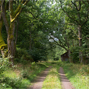 haus im wald8