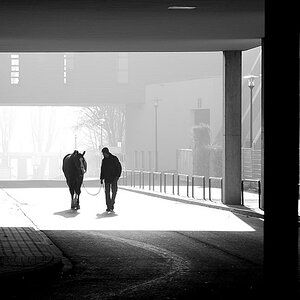 Dialog
