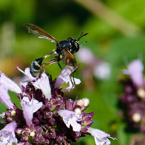120804 unbenannt 091