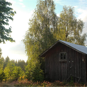 schwedensonne2