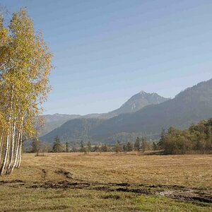 Herbst am Wolfgangsee