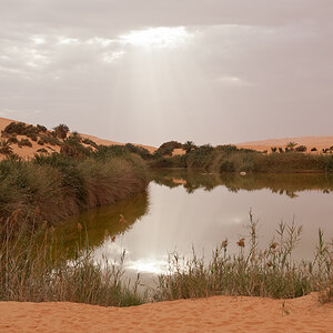Libyen 2010 SPE 1177 NFF