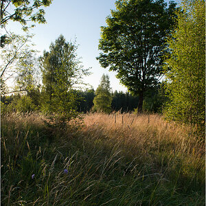 abendlicht