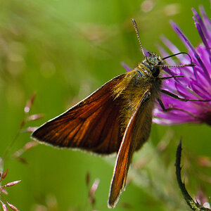 120722 unbenannt 061