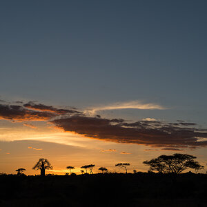 tanzania tarangire nff 002