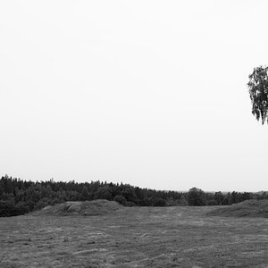 baum ganz allein sw