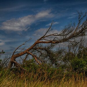 Weststrand