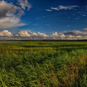 Am Bodden
