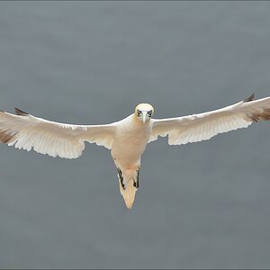 aacomp Helgoland 20120629 1837