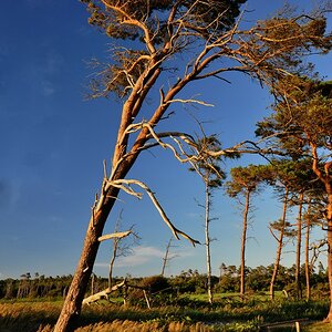Weststrand