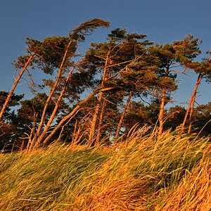 Weststrand