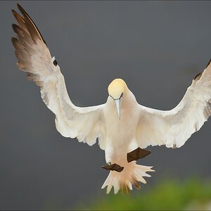 aaacomp Helgoland 20120629 0039