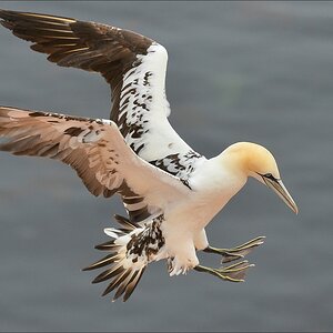 aaacomp Helgoland 20120629 2206