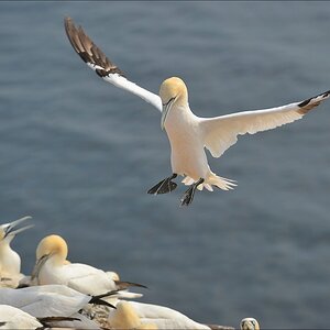aaacomp Helgoland 20120629 2545