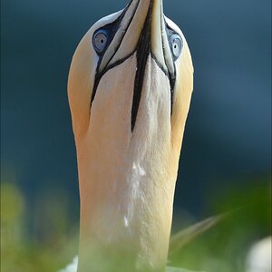 aaacomp Helgoland 20120629 2888