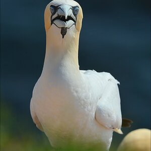 aaacomp Helgoland 20120629 2913