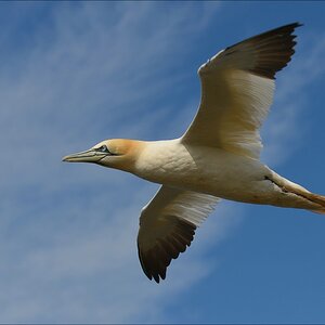 aaacomp Helgoland 20120630 4898