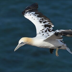 aaacomp Helgoland 20120630 5070