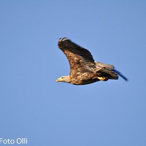 K1600 DSC 0101 295   Kopie