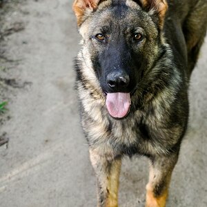K1600 DSC 0035 03 274   Kopie