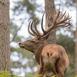 20120811 9449 [NIKON D4] 600 mm,1 320 Sek. bei ƒ   8,0