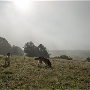 der Ort 2