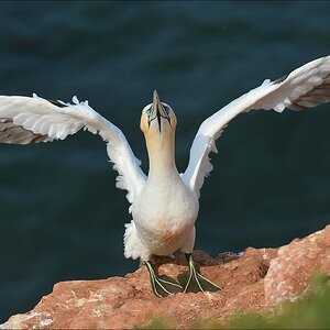 aaacomp Helgoland 20120630 5233