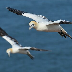aaacomp Helgoland 20120630 5251