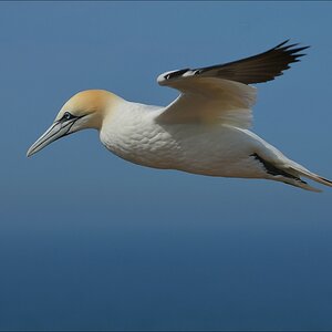 aaacomp Helgoland 20120630 5711