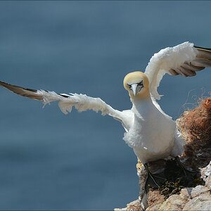 aaacomp Helgoland 20120630 6730